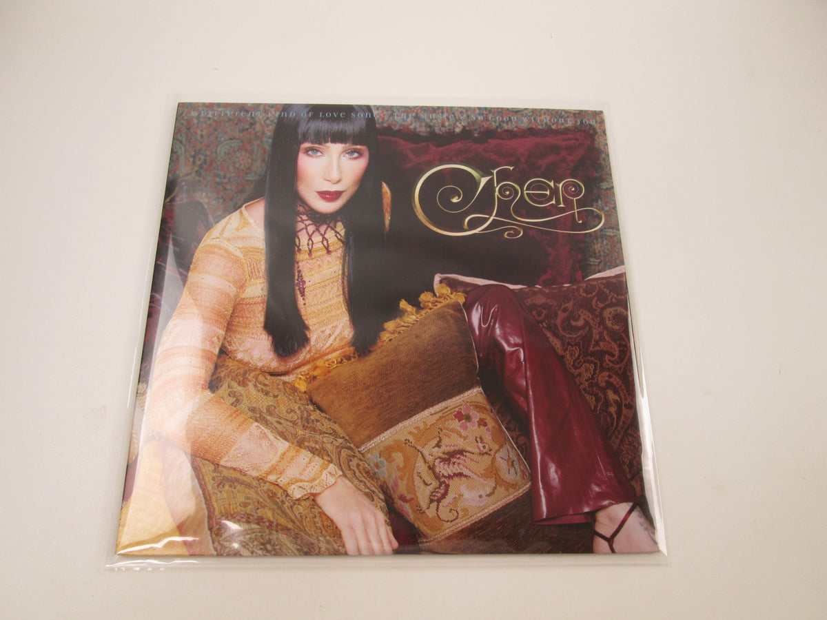 Cher A Different Kind Of Love Song 42455 LP Vinyl