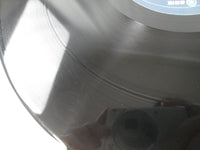 Load image into Gallery viewer, Atmosfear Altered Slates SUSHI-17 LP Vinyl
