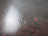 Load image into Gallery viewer, Ratt Out Of The Cellar P-11472 with OBI Japan LP Vinyl
