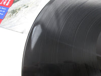 Load image into Gallery viewer, DAVID LEE ROTH SKYSCRAPER WARNER P-13624 with OBI Japan LP Vinyl
