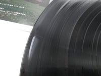 Load image into Gallery viewer, Heidi, Girl of the Alps – Suite CX-7048-ND with OBI Japan LP Vinyl

