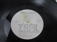Load image into Gallery viewer, Tyrannosaurus Rex My People Were Promo SP20-5051 with OBI Japan LP Vinyl

