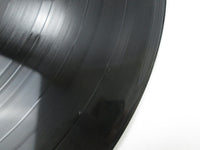 Load image into Gallery viewer, Rough Diamond ILS-80838 with OBI Japan LP Vinyl
