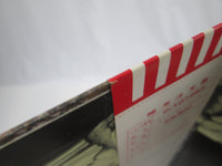 Load image into Gallery viewer, LED ZEPPELIN IV P-10125A with OBI Japan LP Vinyl
