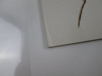 Load image into Gallery viewer, EAGLES ON THE BORDER ASYLUM P-10342Y with OBI Japan LP Vinyl
