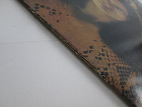 Load image into Gallery viewer, DAVID COVERDALE WHITESNAKE POLYDOR MWF 1027 with OBI Japan LP Vinyl

