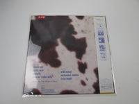 Load image into Gallery viewer, VANITY WILD ANIMAL Promo VIL-6145 with OBI Japan VINYL LP
