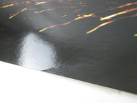 Load image into Gallery viewer, The Creatures Feast Promo 28MM 0291 with OBI Japan LP Vinyl
