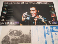 Load image into Gallery viewer, ELVIS PRESLEY THIS IS ELVIS RCA RPL-3008,9 Promo Japan LP Vinyl
