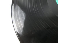 Load image into Gallery viewer, The Yearling OST C20G 0192 with OBI Japan LP Vinyl
