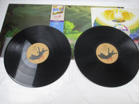 Load image into Gallery viewer, MASAYOSHI TAKANAKA RAINBOW GOBLINS KITTY 36MK 9101,2 with OBI Japan LP Vinyl
