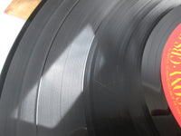 Load image into Gallery viewer, Bruce Springsteen Wild, Innocent &amp; E Street Shuffle 25AP 1273 OBI LP Vinyl A
