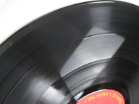Load image into Gallery viewer, Bruce Springsteen Wild, Innocent &amp; E Street Shuffle 25AP 1273 OBI LP Vinyl A
