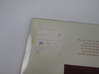 Load image into Gallery viewer, Triumph Surveillance Promo P-13604 with OBI Japan LP Vinyl
