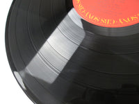 Load image into Gallery viewer, Ron Wood Gimme Some Neck CBS/Sony 25AP 1580 with OBI Japan LP Vinyl
