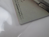 Load image into Gallery viewer, Wishbone Ash MCA Records MCA-6064  with OBI Japan LP Vinyl
