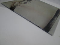 Load image into Gallery viewer, Wishbone Ash MCA Records MCA-6064  with OBI Japan LP Vinyl
