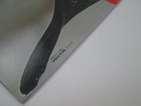 Load image into Gallery viewer, Wishbone Ash MCA Records MCA-6064  with OBI Japan LP Vinyl
