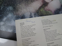 Load image into Gallery viewer, DAVID BOWIE HUNKY DORY RCA RPL-2101 with OBI Japan LP Vinyl
