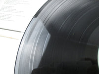 Load image into Gallery viewer, Queen ‎A Night At The Opera P-6553E No OBI Japan LP Vinyl
