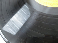 Load image into Gallery viewer, The Monkees' Golden Album Vol. 2 SRA-5161 with OBI Japan VINYL LP
