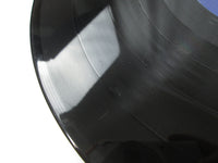 Load image into Gallery viewer, Berlin Pleasure Victim Mercury 25PP-82 with OBI Japan LP Vinyl
