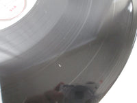 Load image into Gallery viewer, Jeru The Damaja The Sun Rises In The East 697124011 LP Vinyl
