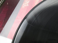 Load image into Gallery viewer, Lynyrd Skynyrd Gimme Back My Bullets MCA-6092 with OBI Japan LP Vinyl
