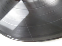 Load image into Gallery viewer, Ozzy Osbourne Randy Rhoads Tribute 35AP 3344,5 with OBI Japan LP Vinyl

