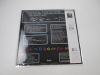 Load image into Gallery viewer, Tik &amp; Tok ‎Intolerance Promo C25Y 0087 with OBI LP Vinyl Japan Ver
