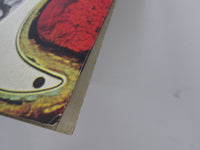 Load image into Gallery viewer, Rory Gallagher Against The Grain CHR 1098 with OBI Poster Japan LP Vinyl
