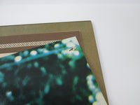 Load image into Gallery viewer, Creedence Clearwater Revival More Gold LFP-80850 OBI Poster LP Vinyl
