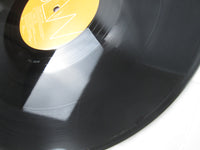 Load image into Gallery viewer, 3LW Playas Gon Play 79595 LP Vinyl
