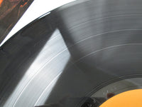 Load image into Gallery viewer, Pleasure Future Now F-9578 LP Vinyl
