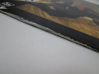 Load image into Gallery viewer, Classix Nouveaux La Verite Liberty K28P-240 with OBI Japan LP Vinyl
