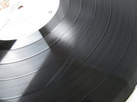 Load image into Gallery viewer, Chaka Khan Chaka P-10610W with OBI Japan LP Vinyl
