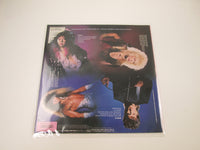 Load image into Gallery viewer, VINNIE VINCENT INVASION Promo WWS-81771 No OBI Japan LP Vinyl

