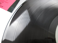 Load image into Gallery viewer, Noel Pointer All My Reasons K28P-6090 with OBI Japan LP Vinyl
