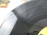 Load image into Gallery viewer, Disney Movie Theme Collection CZ-5007-DR with OBI Japan LP Vinyl B

