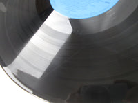 Load image into Gallery viewer, OST(RAY STEVENS) CANNONBALL RUN VICTOR VIP-28036 with OBI Japan LP Vinyl
