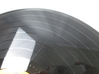 Load image into Gallery viewer, Elvis Presley Story Vol.1 Elvis' Golden Records SRA-5221 with OBI Japan LP Vinyl
