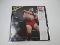 Load image into Gallery viewer, WRESTLING THEME SONG,WESTERN LARIAT 30036-25 with OBI Japan LP Vinyl B
