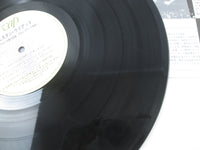 Load image into Gallery viewer, WRESTLING THEME SONG,WESTERN LARIAT 30036-25 with OBI Japan LP Vinyl B
