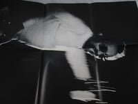 Load image into Gallery viewer, Cecil Taylor Akisakila Unit In Japan PA-3004,5 with OBI Poster Japan LP Vinyl
