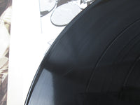 Load image into Gallery viewer, Led Zeppelin In Through The Out Door P-10726N with OBI Japan LP Vinyl A
