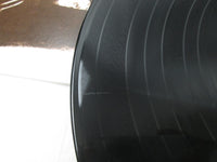 Load image into Gallery viewer, ANIMALS Greatest Hits and More ERS-81606 with OBI Japan LP Vinyl
