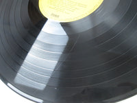 Load image into Gallery viewer, Nancy Sinatra Super Deluxe SWX-10002 with OBI Japan LP Vinyl
