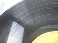 Load image into Gallery viewer, Nancy Sinatra Super Deluxe SWX-10002 with OBI Japan LP Vinyl
