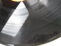 Load image into Gallery viewer, Roy Buchanan The Very Best Of Roy Buchanan MPF 1165 with OBI Japan LP Vinyl
