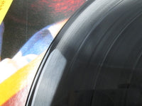 Load image into Gallery viewer, Roy Buchanan The Very Best Of Roy Buchanan MPF 1165 with OBI Japan LP Vinyl
